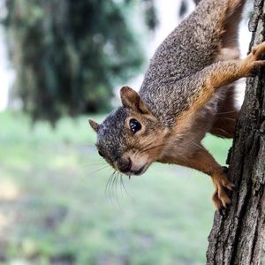 Meet your Posher, Chad